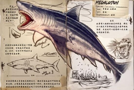 方舟生存进化巨齿鲨属性详解 巨齿鲨驯养方法掉落物分享[多图]图片1