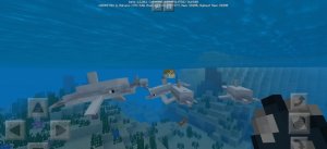 我的世界1.20.1beta发布，新增海豚和海底废墟地图图片2