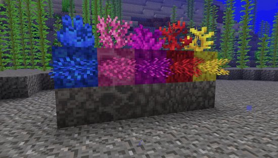 我的世界珊瑚有什么用？珊瑚怎么得？[多图]图片2