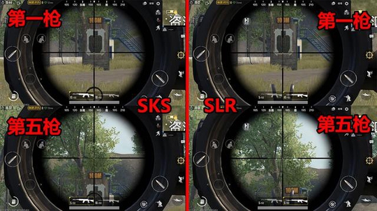 刺激战场天降奇兵枪械对比分析：SKS和SLR哪个厉害？[多图]图片3