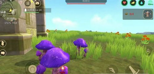 创造与魔法毒蘑菇在哪？毒蘑菇位置汇总[多图]图片2