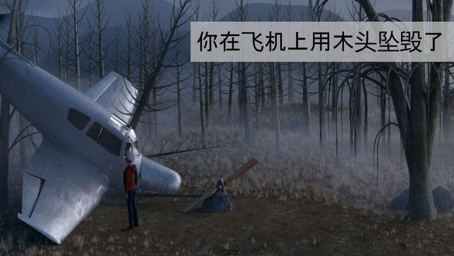 迷失森林the Forest中文游戏联机版图2: