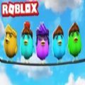 Roblox啄木鸟模拟器游戏