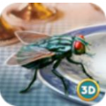 苍蝇模拟器3D手机版