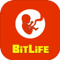 BitLife生活模拟器中文汉化版游戏下载安卓官方版地址