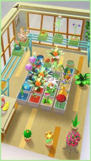 小小阳台植物乐园游戏图3