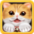 我爱宠物猫手机游戏最新版下载