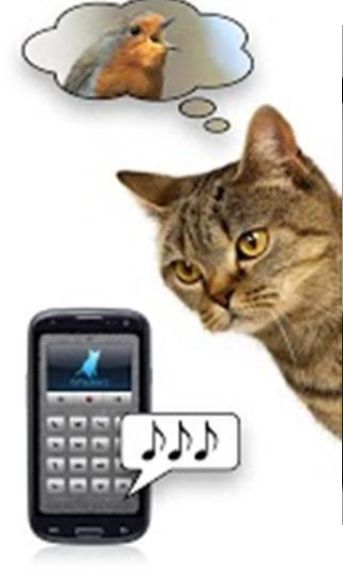 抖音上可以翻译猫语的游戏APP安卓手机下载图4: