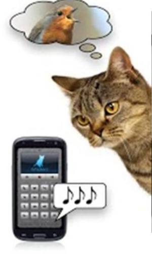 抖音上可以翻译猫语的游戏APP图4