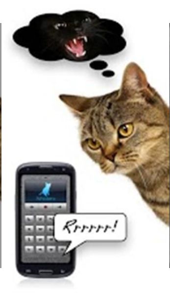 抖音上可以翻译猫语的游戏APP安卓手机下载图3: