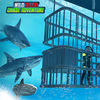 野生鲨鱼追冒险安卓官方版游戏下载 V1.0
