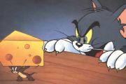 猫和老鼠手游拆火箭方法技巧攻略 拆火箭技能该怎么使用？[多图]