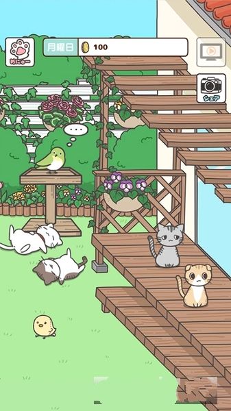 猫咪饲养日常手机游戏下载最新版图片1