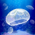 ellyfish Aquarium Free游戏