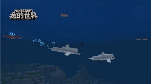 我的世界海洋版本7月初更新内容介绍：实体鱼加入、探寻海底宝藏图片3