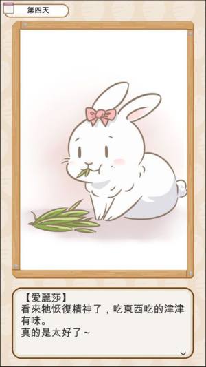 家有兔醬游戏图4