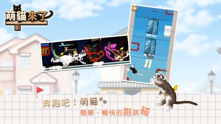 萌猫来了安卓官方版游戏图3: