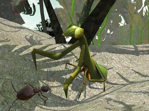 蚂蚁模拟器手机版下载最新游戏图1: