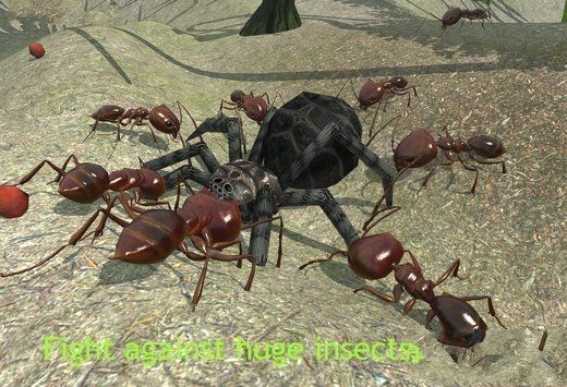 蚂蚁模拟器手机版下载最新游戏图4: