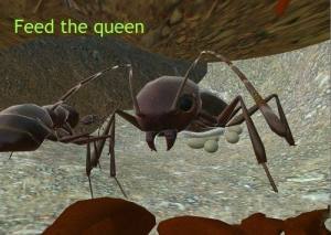 蚂蚁模拟器游戏图2