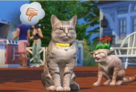 模拟人生4猫狗总动员7月31日发布：虚拟家庭添加新成员[多图]图片4