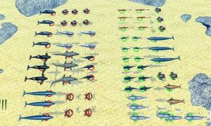 海洋战斗模拟器游戏图4