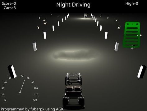 我的夜间驾驶游戏安卓版（My Night Driving）图4: