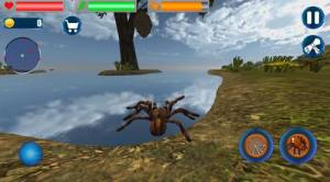 昆虫蜘蛛模拟器游戏图3