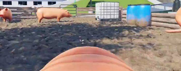 骚猪模拟手机游戏官方版下载图2: