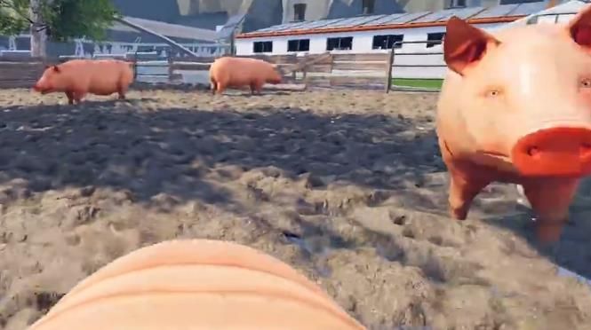 骚猪模拟手机游戏官方版下载图4: