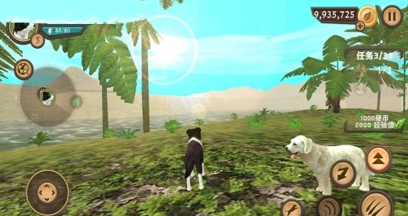 模拟狗子生存游戏安卓版图3: