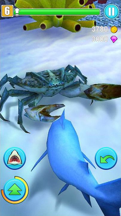 鲨鱼模拟器战斗手机游戏安卓版图4: