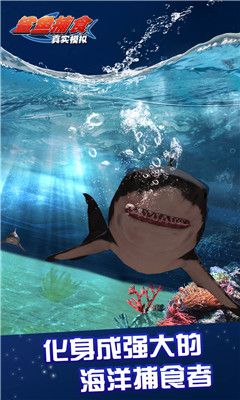真实模拟鲨鱼捕食游戏官方网战下载最新正版截图1:
