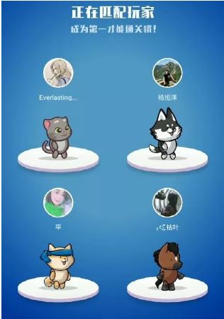 冲吧猫猫小游戏app安卓版图3:
