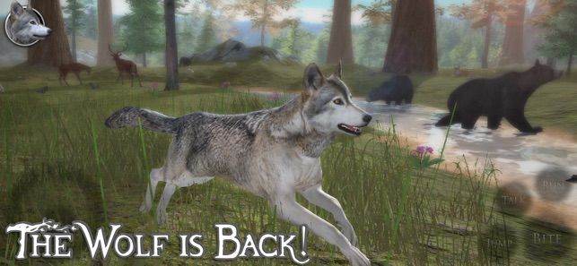 终极野狼模拟器无限满级版图2: