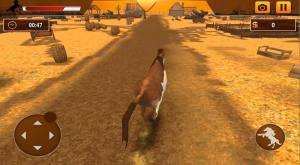 马匹模拟飞跃障碍中文版图3
