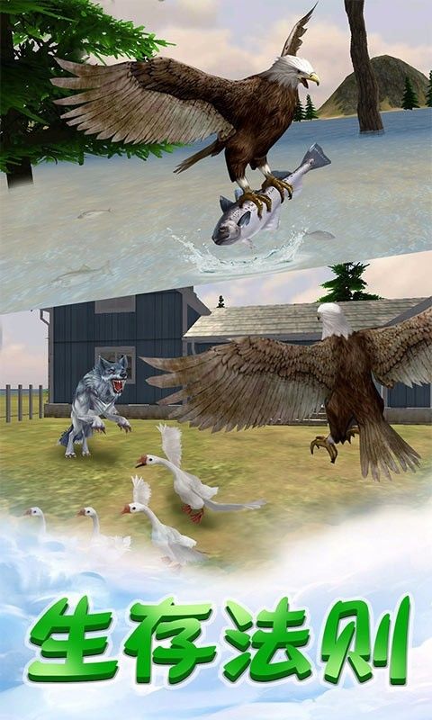 老鹰生存模拟器游戏手机版下载图1: