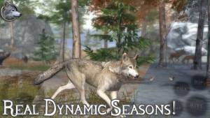 狼族2模拟器最新版图3
