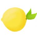 柠檬精钱包APP手机版官方下载 v1.0