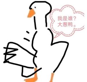 帮这只鸭子画上身体安卓版图1