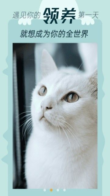 ��ҪèAPP���°�ͼƬ2