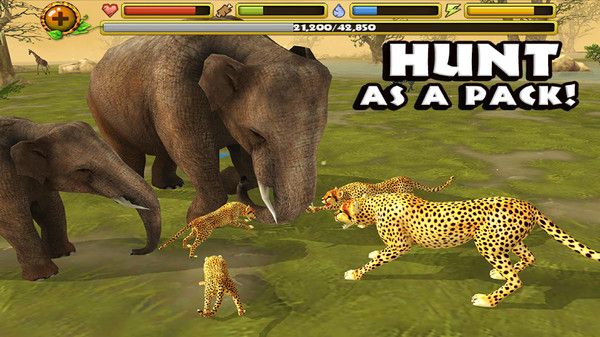 终极猎豹模拟器游戏中文手机版下载图3: