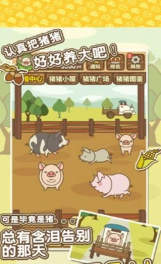 富豪养猪场游戏免费金币版下载图2: