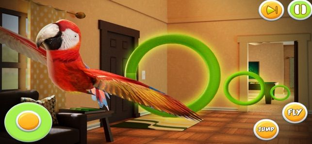 鹦鹉模拟器宠物世界3D游戏中文版官网下载图2: