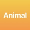 Animal_Plus