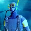 筏生存3D海洋游戏