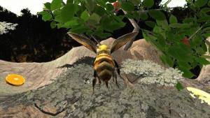 蜜蜂生存模拟器最新版图3