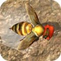 蜜蜂生存模拟器破解版