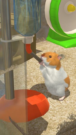 小小仓鼠模拟器安卓版手机游戏图3: