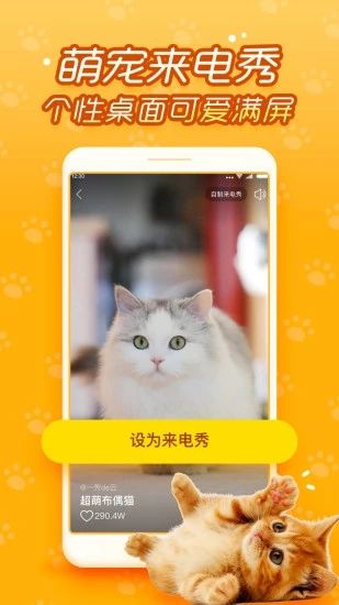 逗猫咪官方手机版app下载图片1